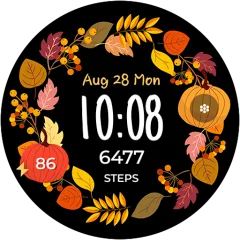 Autumn Frame watch face