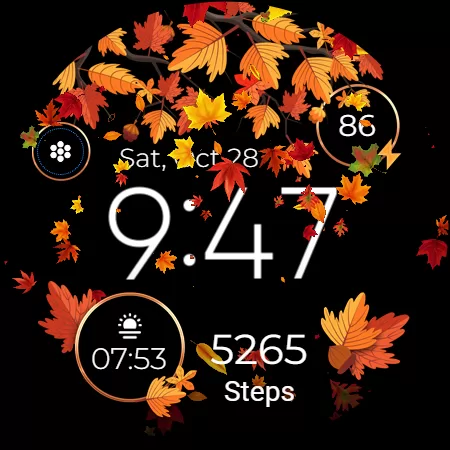 Seasonal Watch watch face